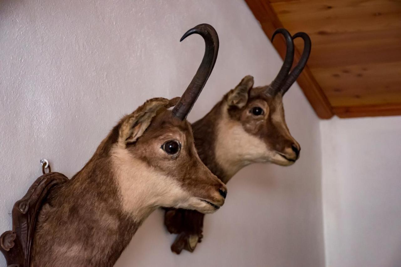 Hotel La Villa Della Regina Gressoney-la-Trinité Eksteriør bilde